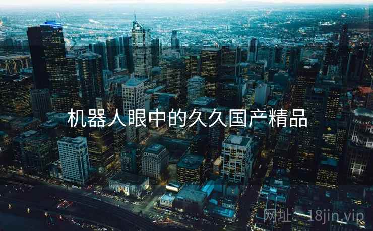 机器人眼中的久久国产精品