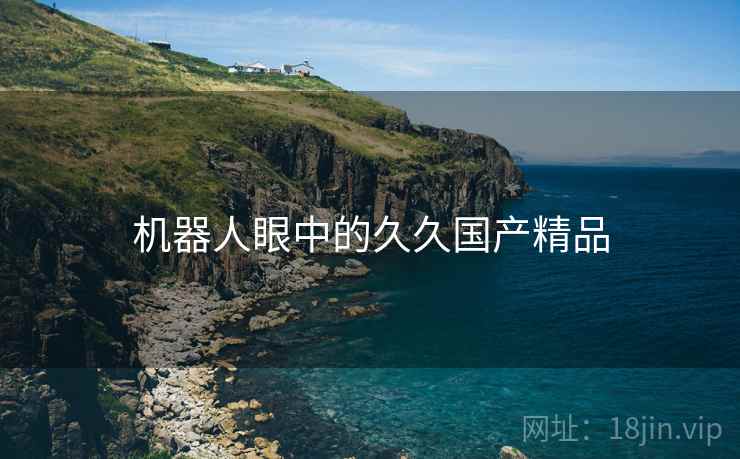 机器人眼中的久久国产精品 机器人眼中的久久国产精品