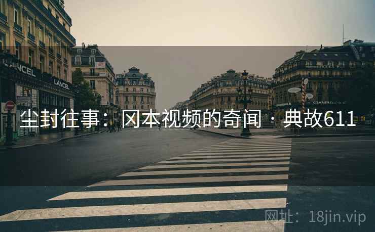 尘封往事：冈本视频的奇闻 · 典故611